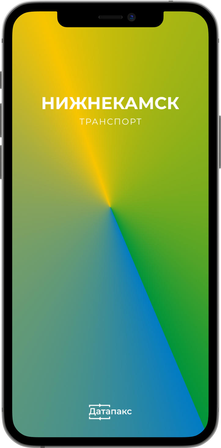 Нижнекамск транспорт